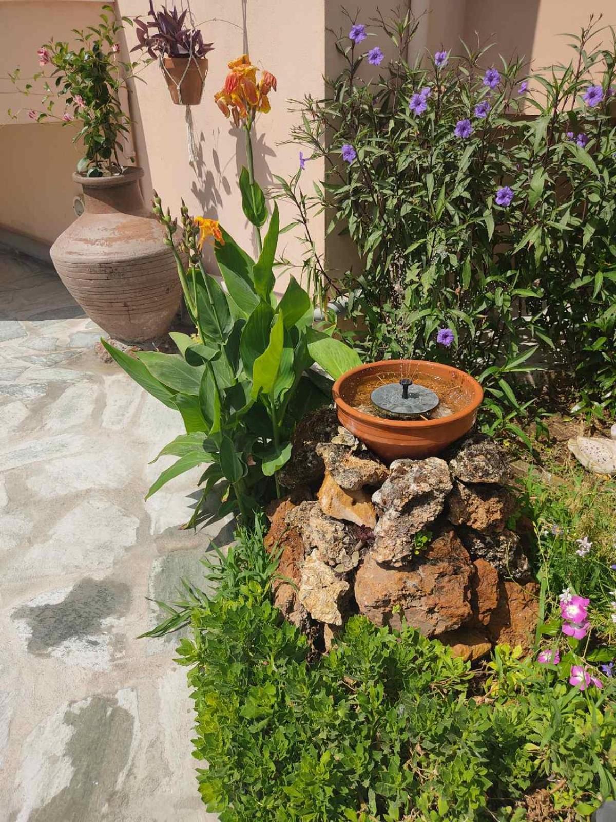 Dream House Διαμέρισμα Αγριά Εξωτερικό φωτογραφία